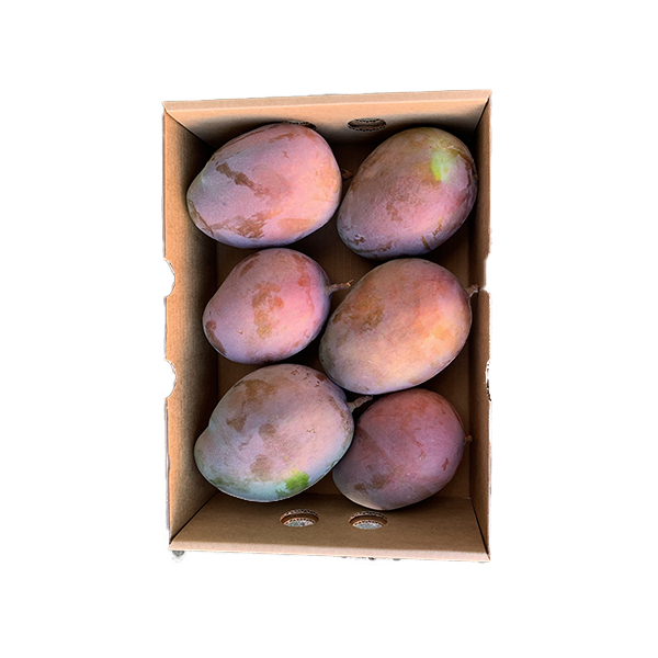 Caja Mango Malagueño
