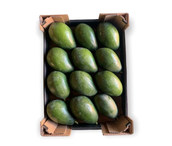 Caja Aguacate BIO (Envío 14 de Octubre)