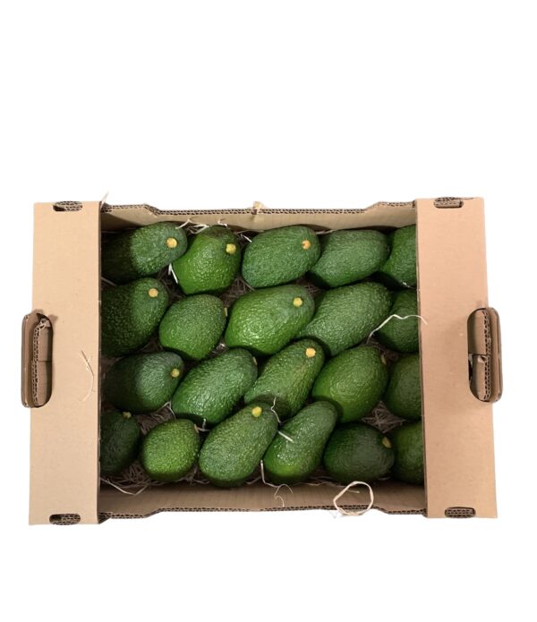 Caja Aguacate Hass BIO