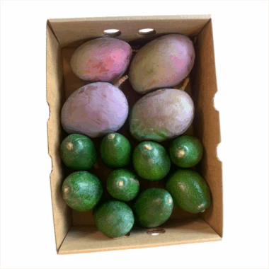 Caja Mixta Mango y Aguacate