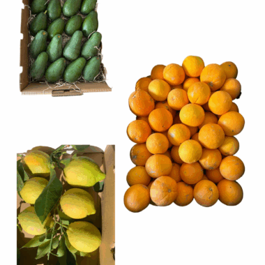 Caja Navideña 9KG (Aguacate+Naranja+Limón