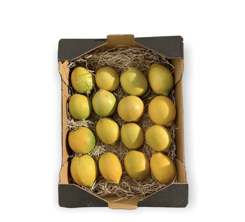 Caja Limón Ecológico Premium