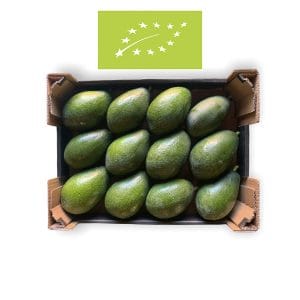 Caja Aguacate Bacon BIO