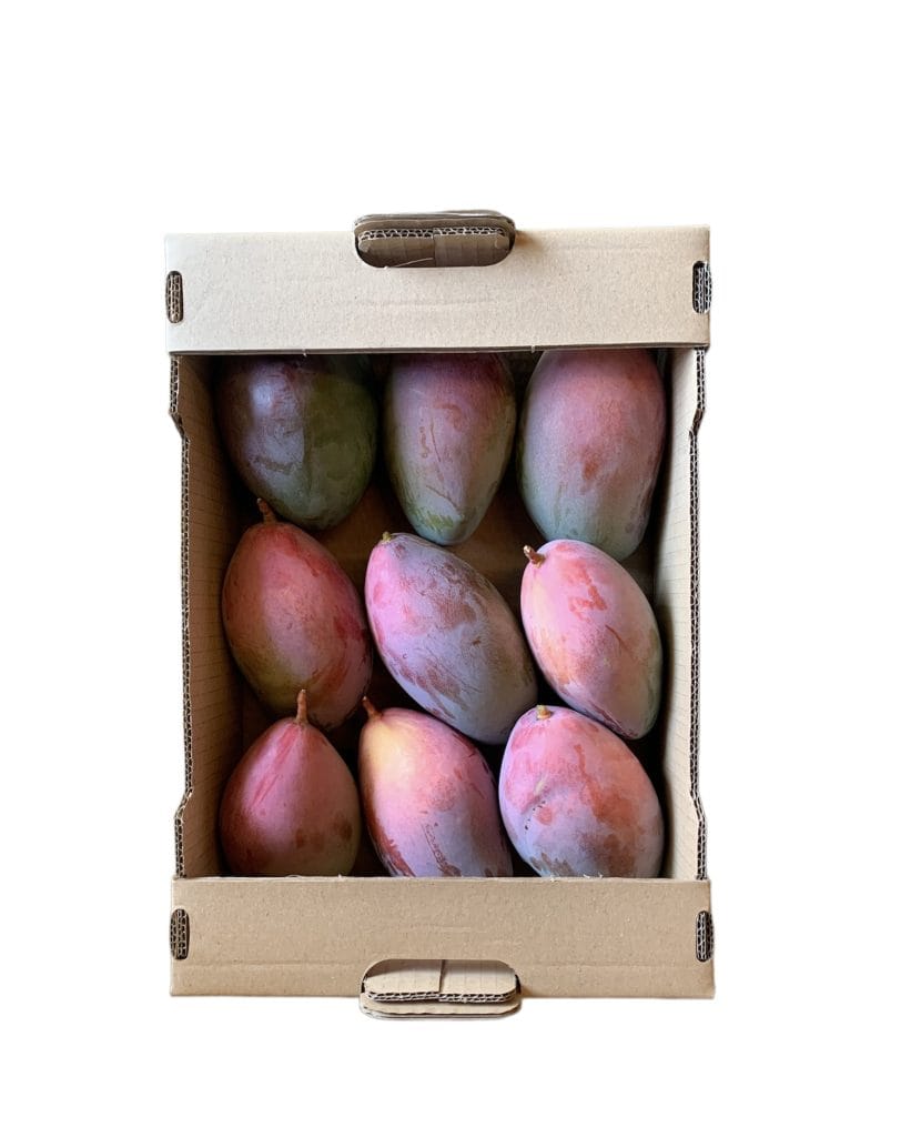 Caja Mango Malagueño